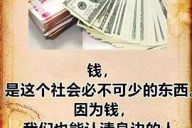 冷水江为什么选择专业追讨公司来处理您的债务纠纷？